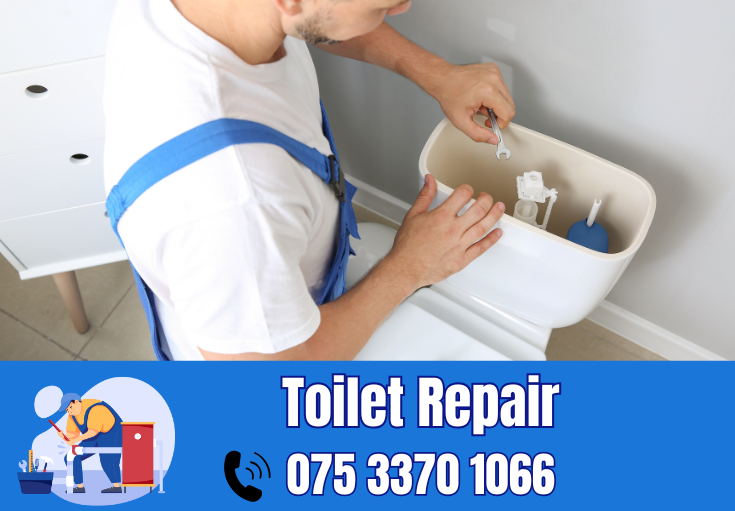 toilet repair Hythe